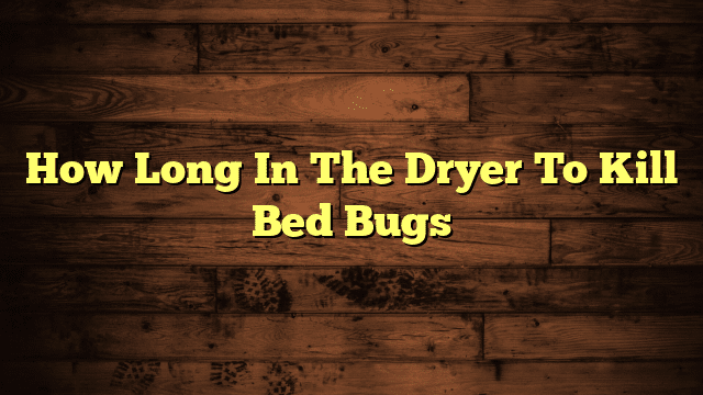 How Long In The Dryer To Kill Bed Bugs