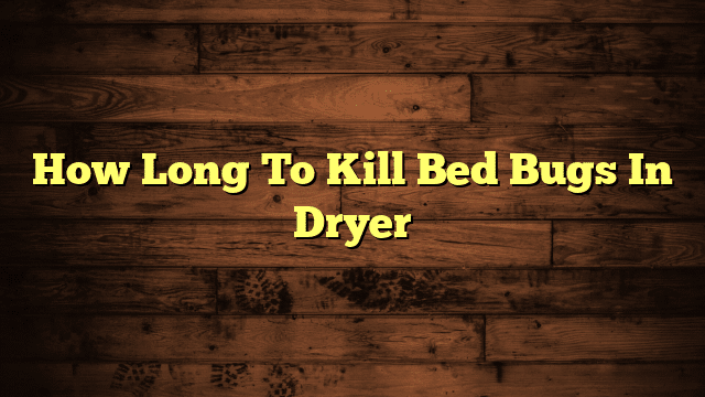 How Long To Kill Bed Bugs In Dryer