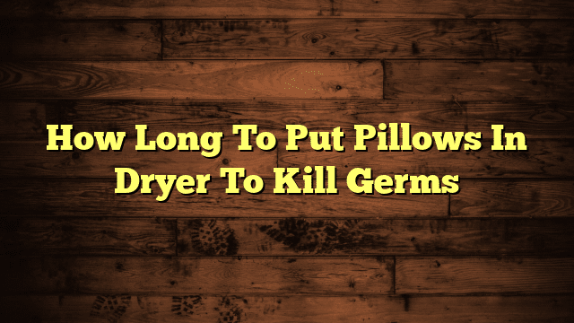 How Long To Put Pillows In Dryer To Kill Germs