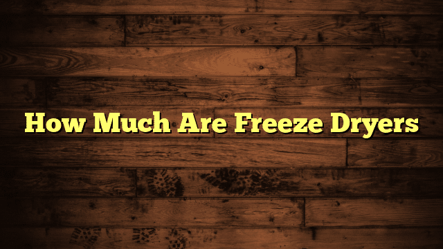 How Much Are Freeze Dryers