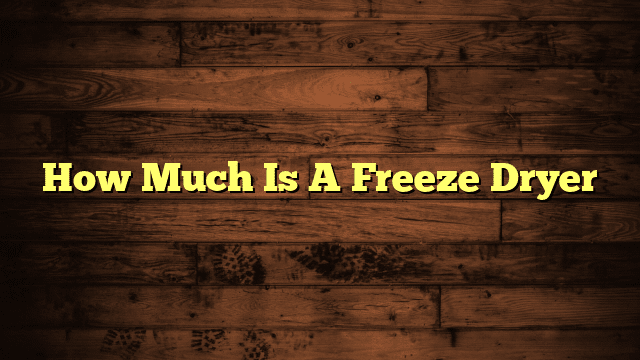 How Much Is A Freeze Dryer