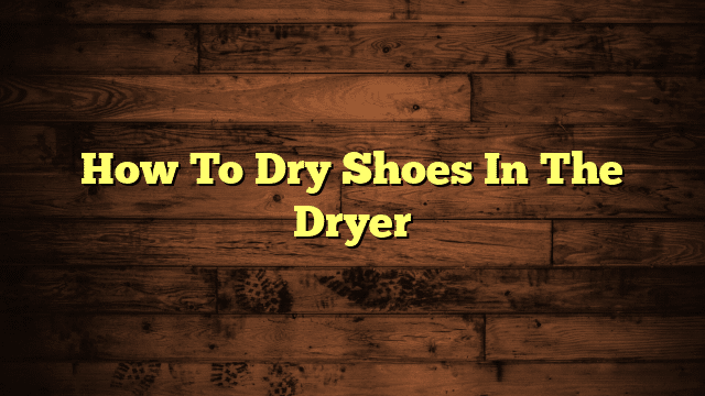 How To Dry Shoes In The Dryer