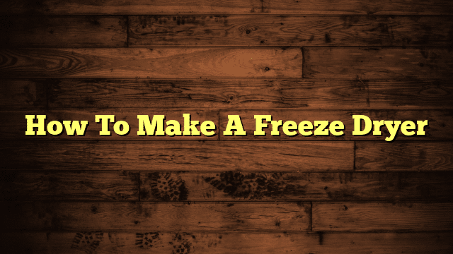 How To Make A Freeze Dryer
