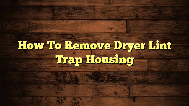 How To Remove Dryer Lint Trap Housing