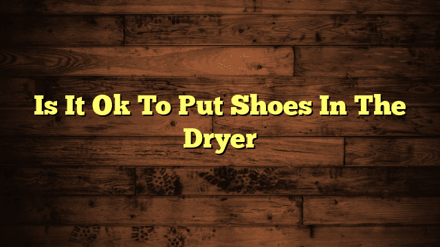 Is It Ok To Put Shoes In The Dryer