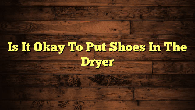 Is It Okay To Put Shoes In The Dryer