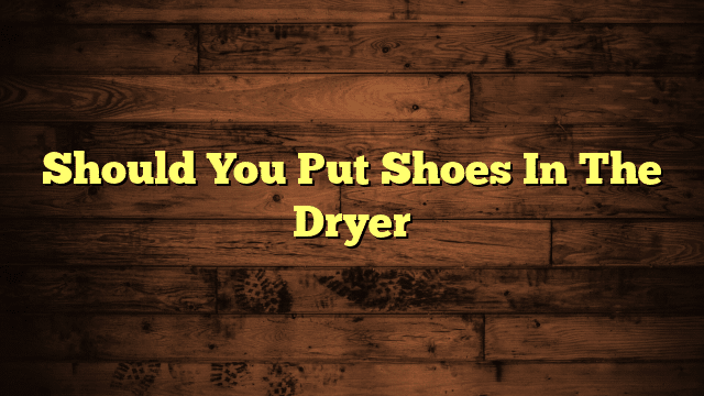 Should You Put Shoes In The Dryer