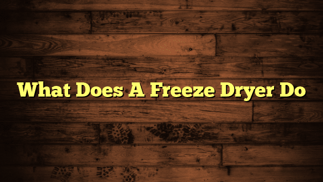 What Does A Freeze Dryer Do