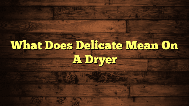 What Does Delicate Mean On A Dryer