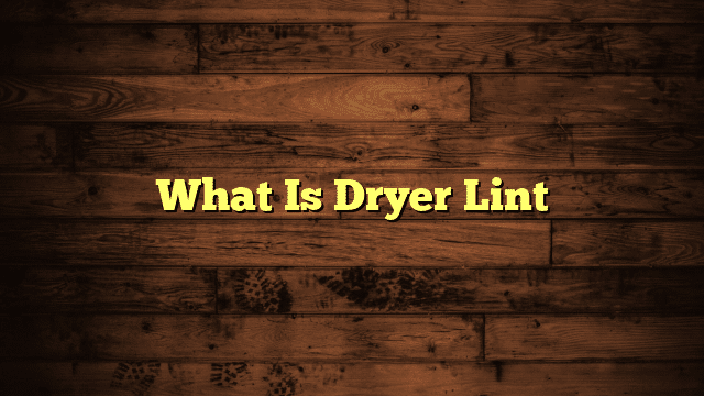 What Is Dryer Lint