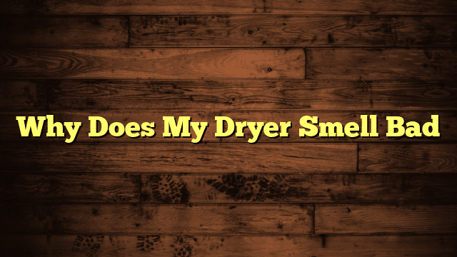 Why Does My Dryer Smell Bad