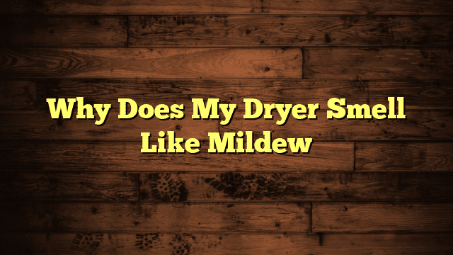 Why Does My Dryer Smell Like Mildew