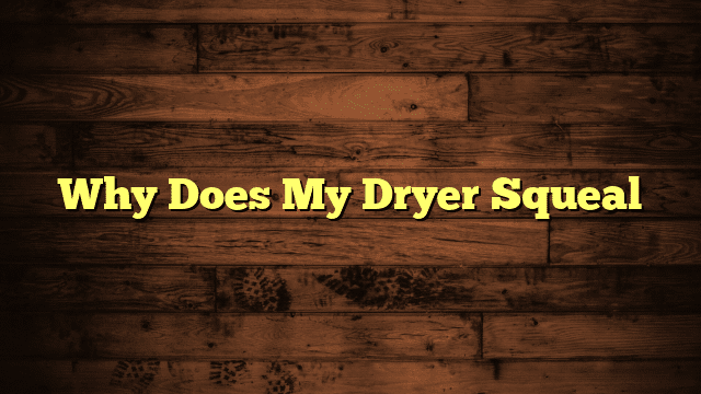 Why Does My Dryer Squeal