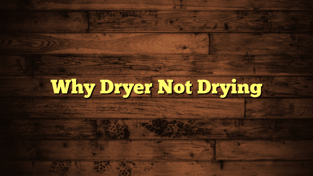 Why Dryer Not Drying