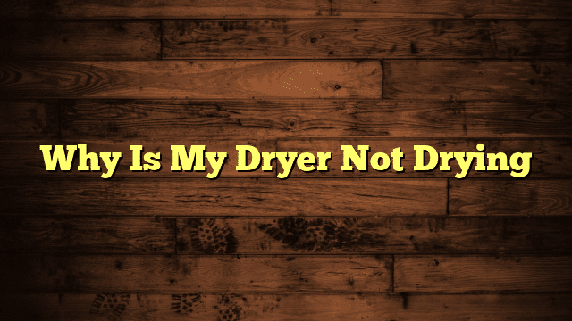 Why Is My Dryer Not Drying