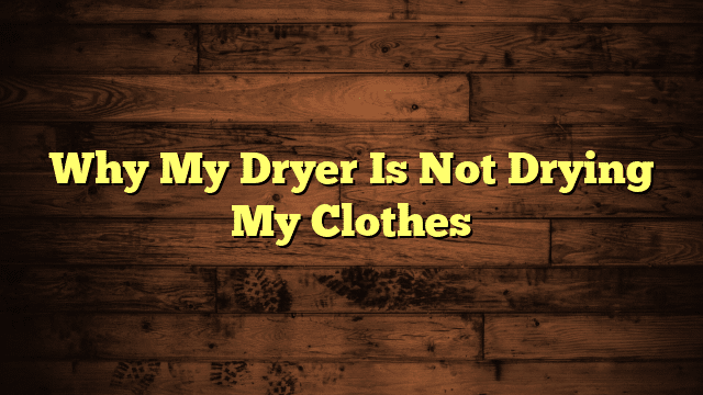 Why My Dryer Is Not Drying My Clothes