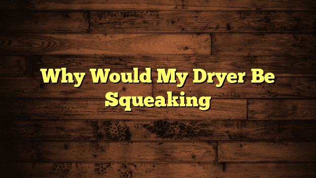 Why Would My Dryer Be Squeaking