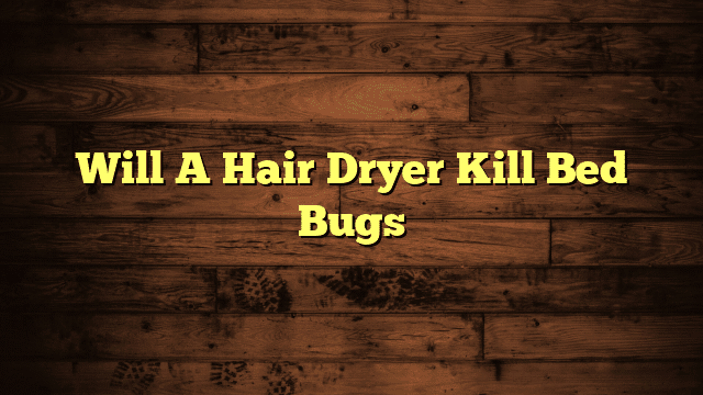 Will A Hair Dryer Kill Bed Bugs