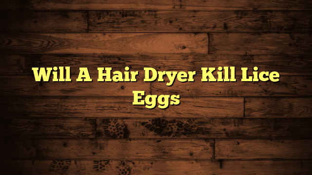 Will A Hair Dryer Kill Lice Eggs