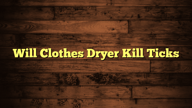 Will Clothes Dryer Kill Ticks