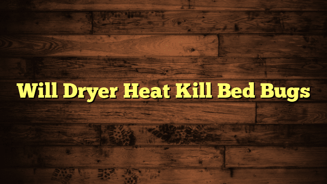 Will Dryer Heat Kill Bed Bugs