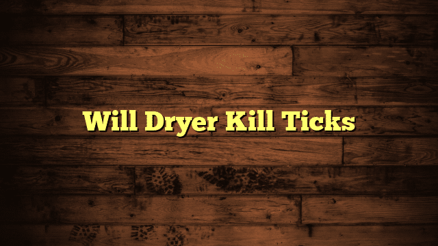Will Dryer Kill Ticks