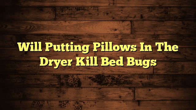 Will Putting Pillows In The Dryer Kill Bed Bugs