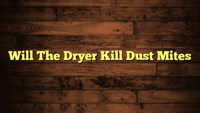Will The Dryer Kill Dust Mites