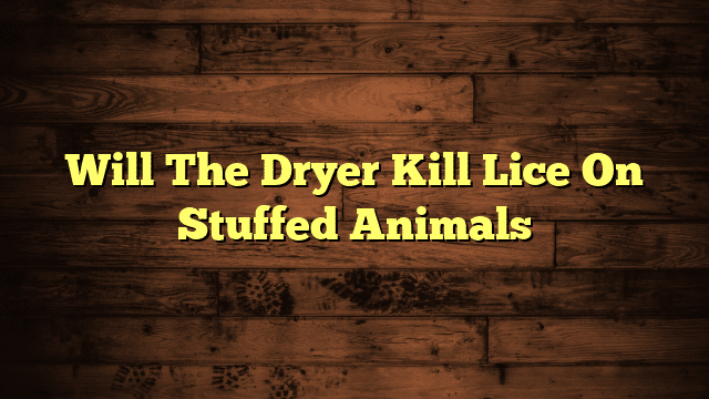 Will The Dryer Kill Lice On Stuffed Animals