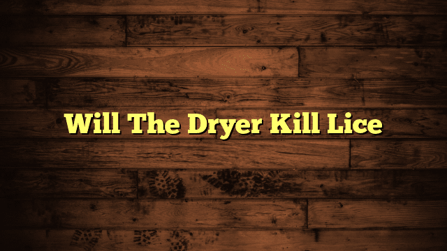 Will The Dryer Kill Lice