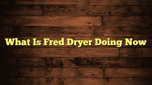 What Is Fred Dryer Doing Now