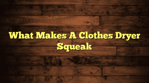 What Makes A Clothes Dryer Squeak