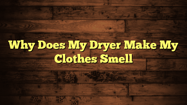 Why Does My Dryer Make My Clothes Smell