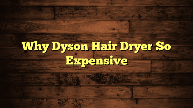 Why Dyson Hair Dryer So Expensive