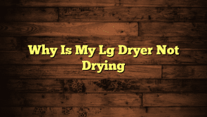 Why Is My Lg Dryer Not Drying