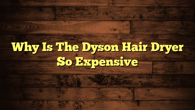 Why Is The Dyson Hair Dryer So Expensive