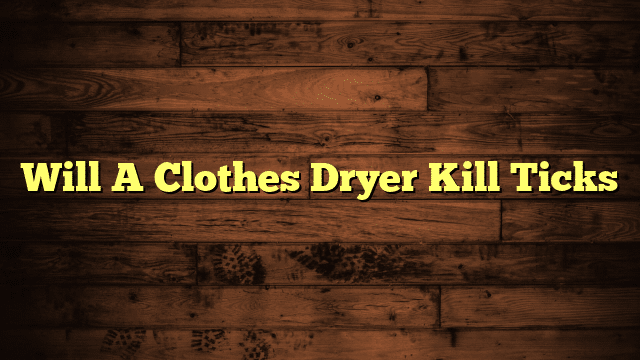 Will A Clothes Dryer Kill Ticks
