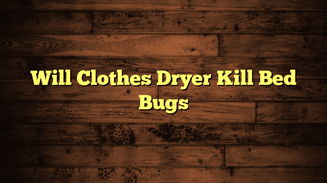 Will Clothes Dryer Kill Bed Bugs