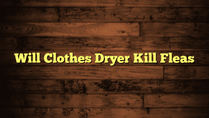 Will Clothes Dryer Kill Fleas